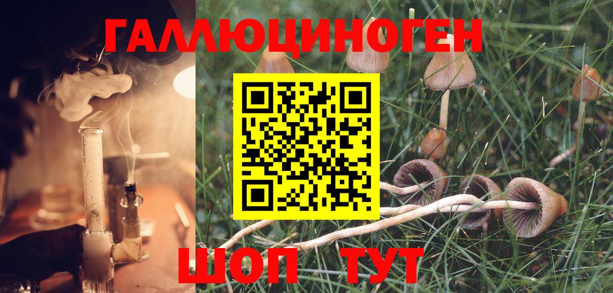 Джанкой  Галлюциногенные грибы GOLDEN TEACHER  Галлюциногенные грибы Psilocybine cubensis  Вход с VPN 